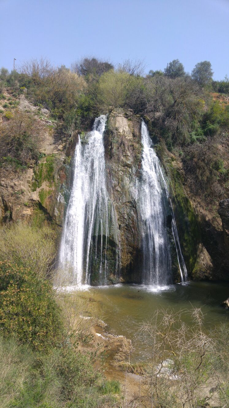 אשר טמסוט מדריך טיולים