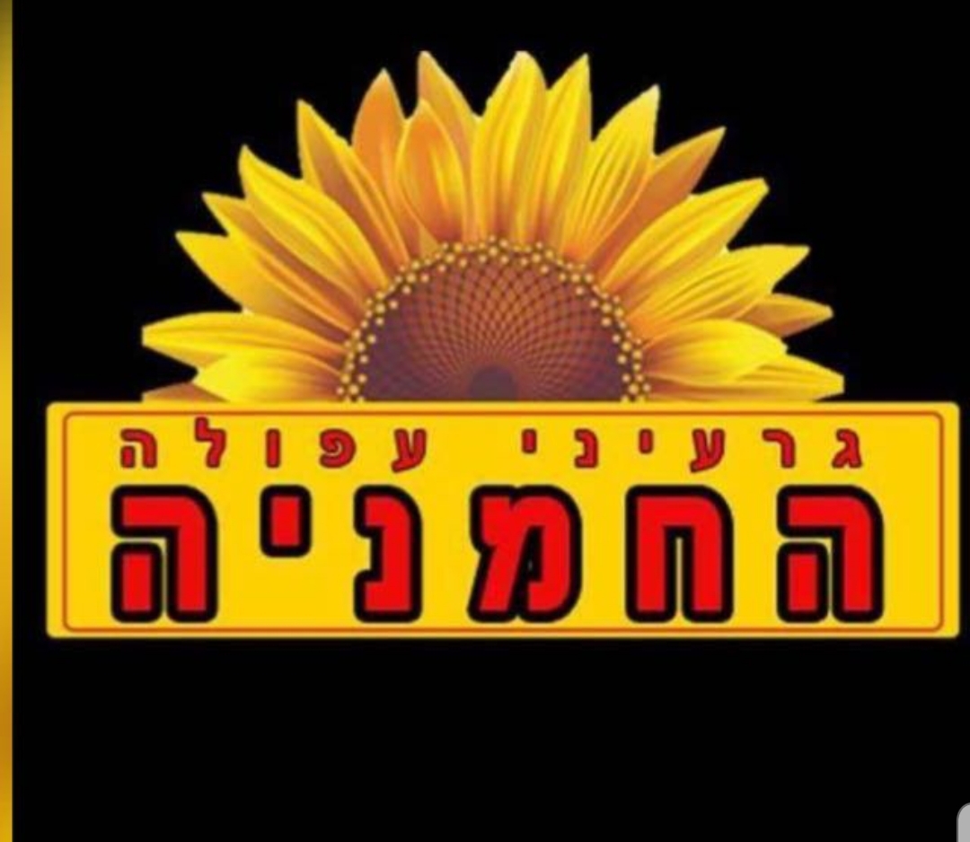 גרעיני עפולה החמניה