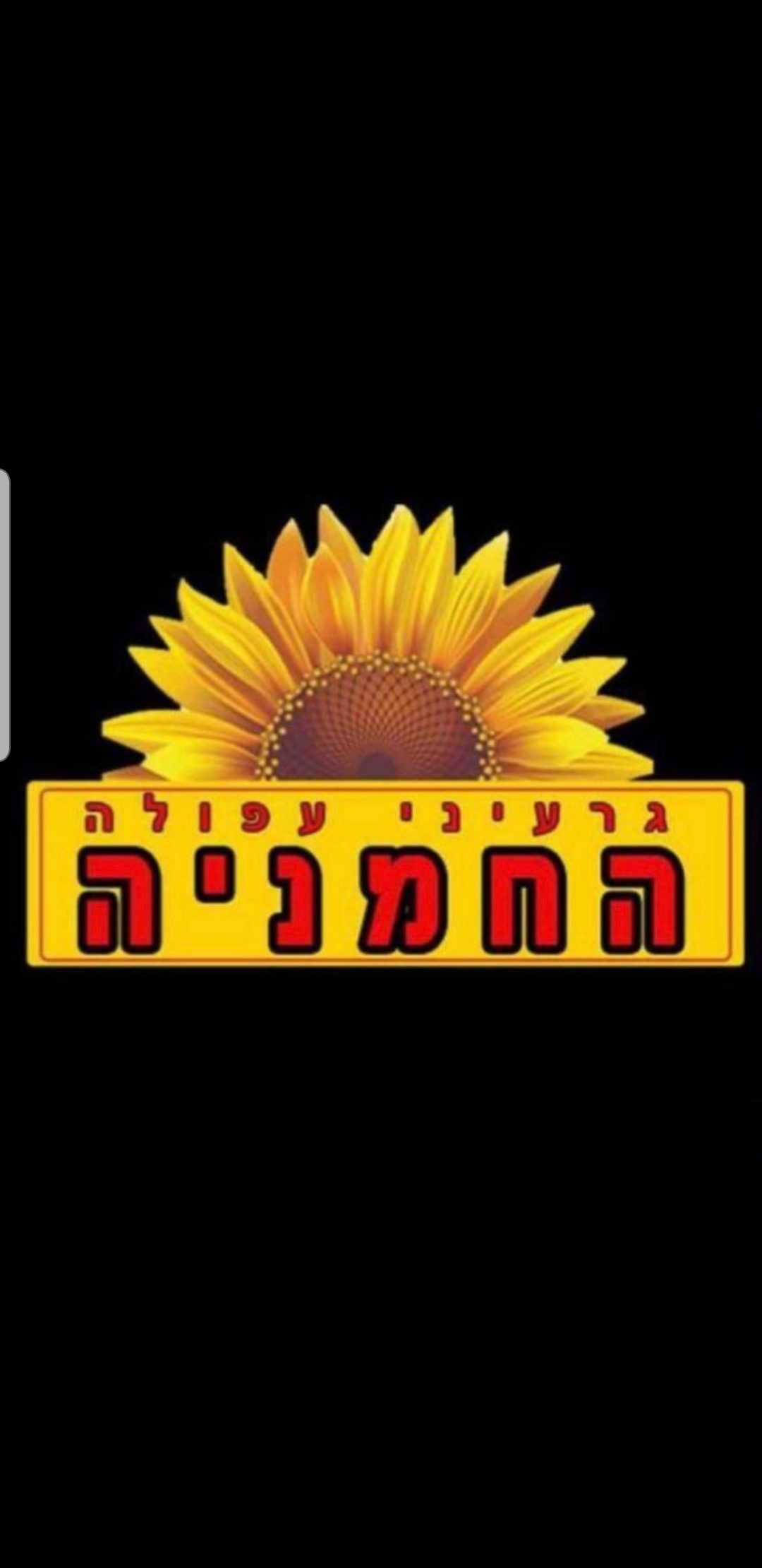 גרעיני עפולה החמניה צפת